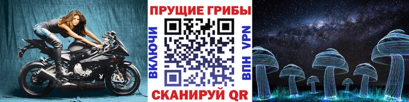 купить  сайты  Бикин  Псилоцибиновые грибы Cubensis 